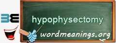 WordMeaning blackboard for hypophysectomy
